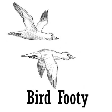Bird Footy
